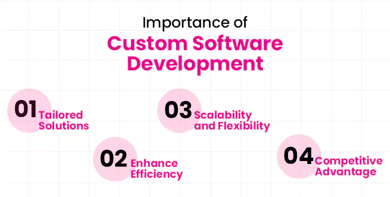 Importance of Custom Software Development